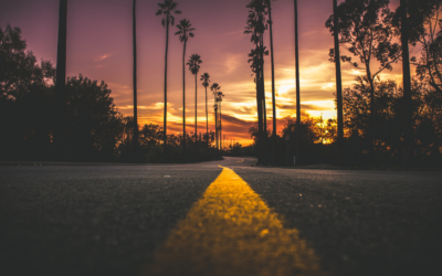 Your Path